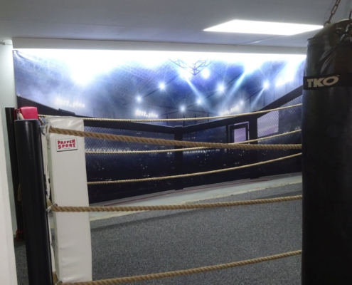 LED-Beleuchtung Boxring im Fitnessstudio