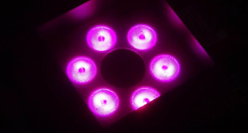 Showtec Dragon Fogjet LED Nozzle pink